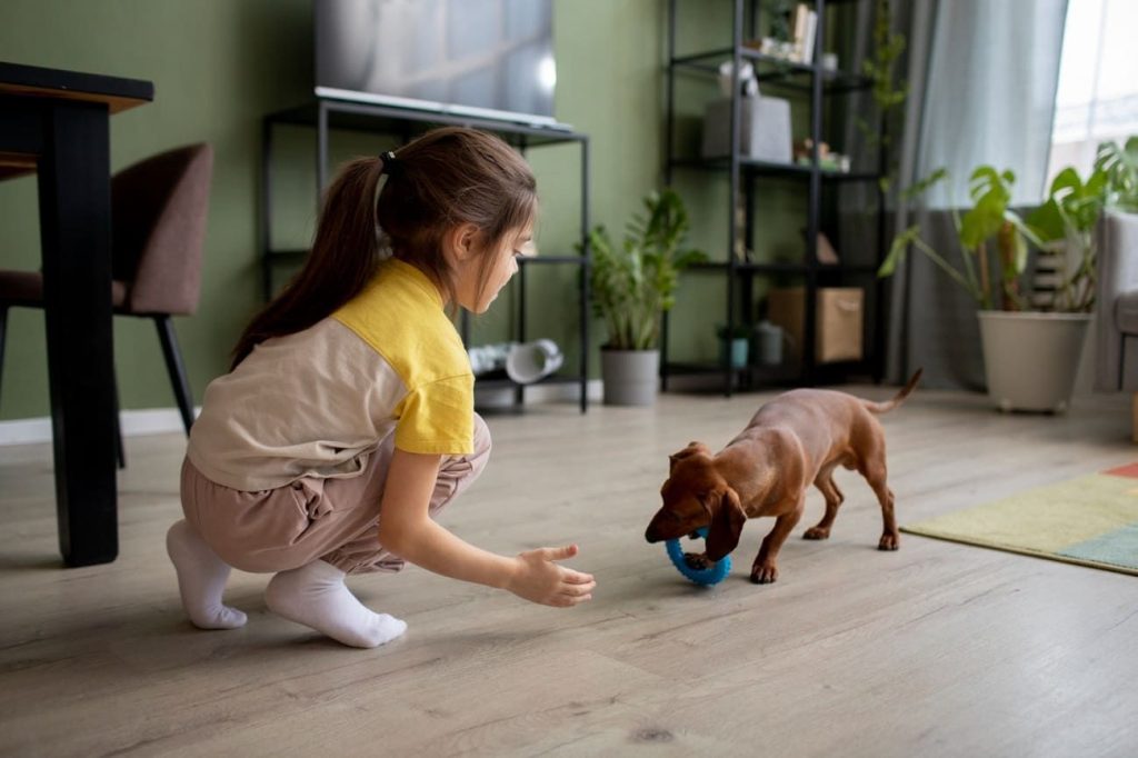 Content image for How to Choose Scratch-Resistant Flooring for Pets