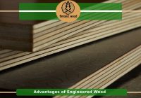 Featured image for Why Engineered Wood is Ideal for Basements