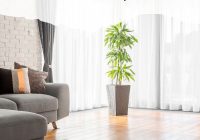 Featured image for Why You Should Consider Engineered Wood Flooring