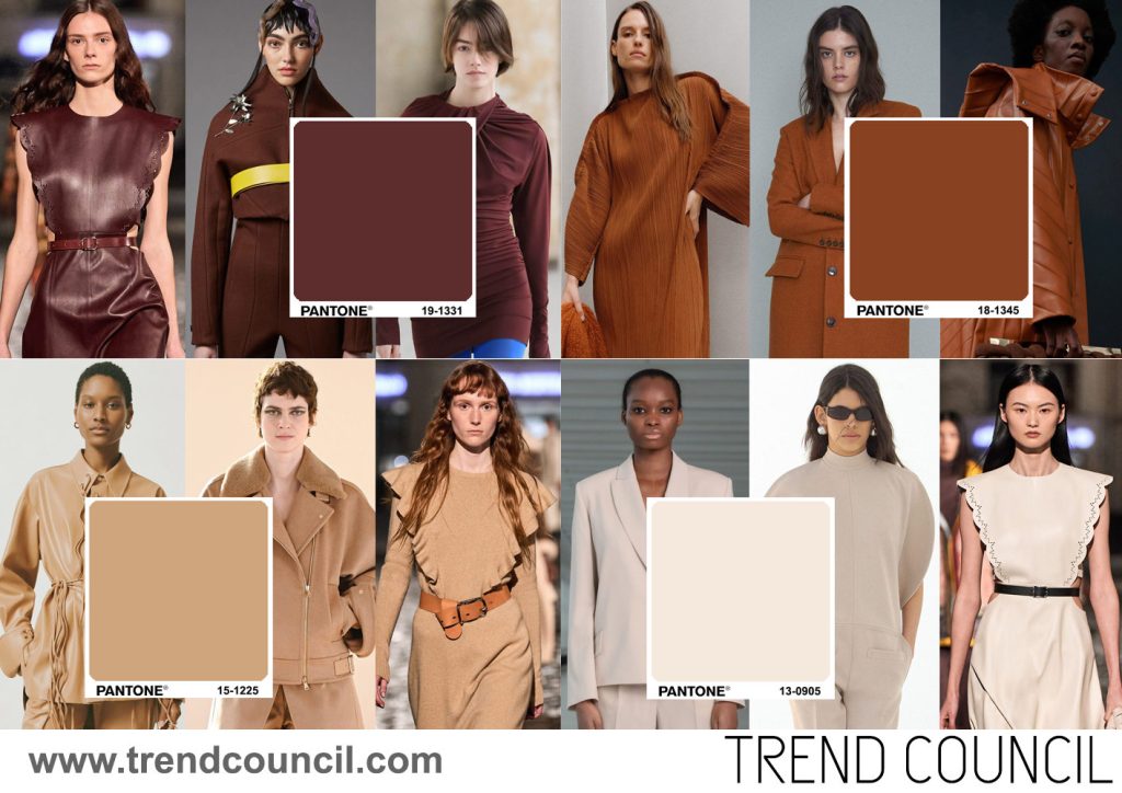Content image for Embracing Earth Tones: The Hottest Color Trends for 2025