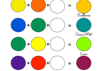 Featured image for A Guide to Mixing Custom Paint Colors at Home