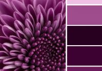 Featured image for How to Use Monochrome Color Schemes to Your Advantage