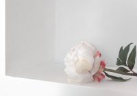 Featured image for How to Select the Perfect Shade of White for Your Walls