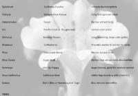 Featured image for How to Choose the Right Plants for Your Climate