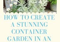 Featured image for How to Create a Beautiful Container Garden