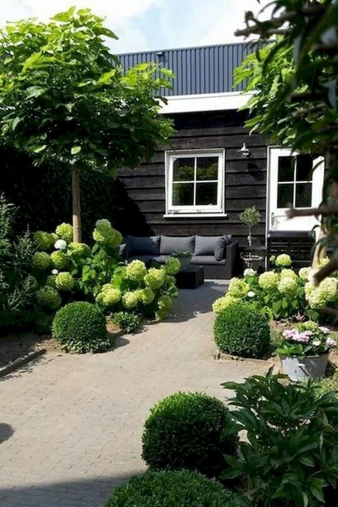 Content image for How to Create a Beautiful Container Garden