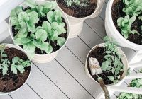 Featured image for The Best Vegetables to Grow in Small Spaces