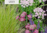 Featured image for Tips for Creating a Low-Maintenance Garden
