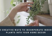 Featured image for How to Incorporate Indoor Plants into Your Decor