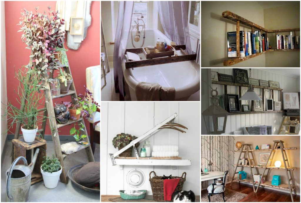 Content image for How to Incorporate Indoor Plants into Your Decor