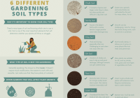 Featured image for Understanding Soil Types and Their Importance in Gardening