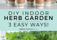 Featured image for How to Start a Herb Garden in Your Kitchen