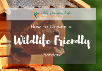 Featured image for How to Create a Wildlife-Friendly Garden