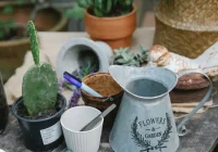Featured image for The Best Tools Every Gardener Should Have