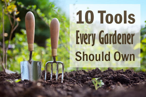 Content image for The Best Tools Every Gardener Should Have
