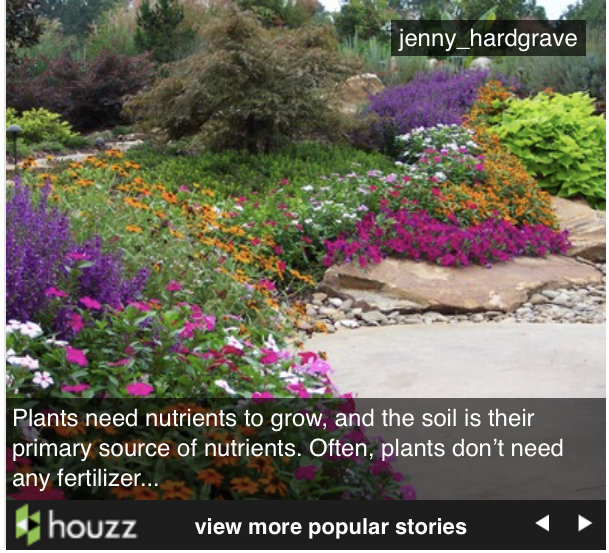 Content image for How to Choose the Right Fertilizer for Your Plants