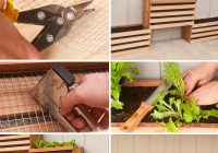 Featured image for How to Create a Vertical Garden in Small Spaces