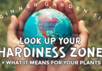 Featured image for Understanding Plant Hardiness Zones and Their Significance