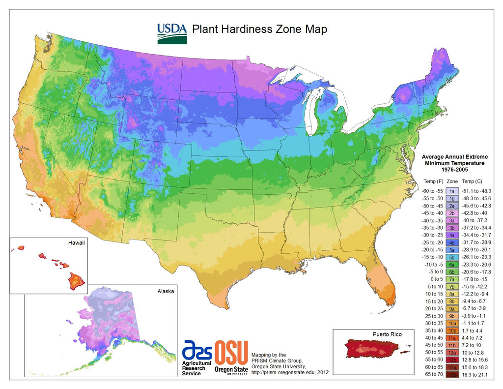 Content image for Understanding Plant Hardiness Zones and Their Significance