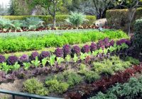 Featured image for How to Design an Edible Landscape in Your Yard