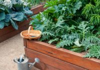 Featured image for The Benefits of Raised Bed Gardening
