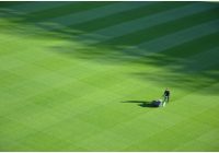 Featured image for How to Maintain a Healthy Lawn Year-Round