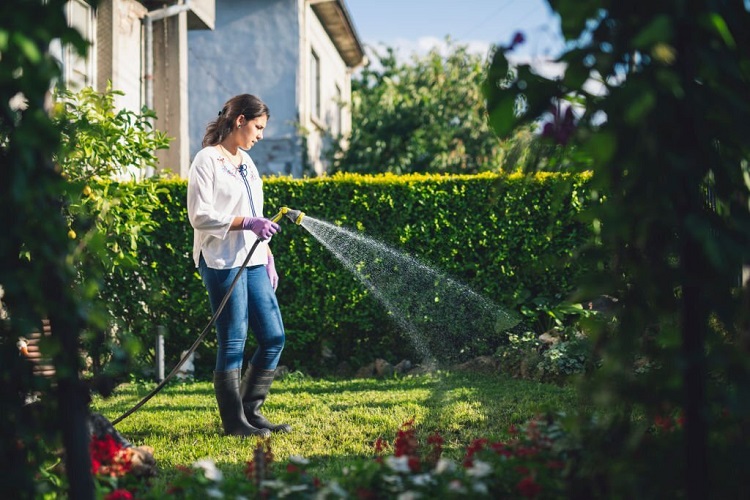Content image for How to Maintain a Healthy Lawn Year-Round