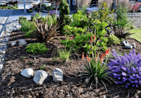 Featured image for How to Prepare Your Garden for Winter