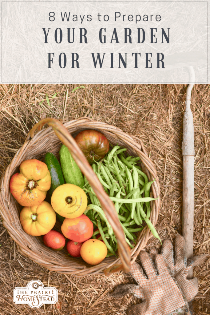 Content image for How to Prepare Your Garden for Winter